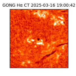 gong - 2025-03-16T19:00:42