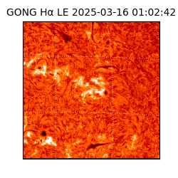 gong - 2025-03-16T01:02:42
