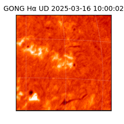 gong - 2025-03-16T10:00:02