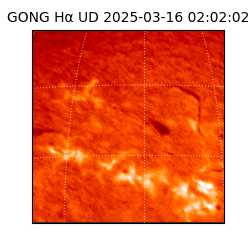 gong - 2025-03-16T02:02:02