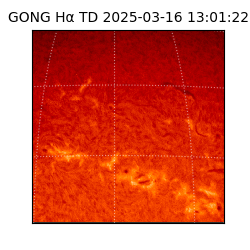 gong - 2025-03-16T13:01:22