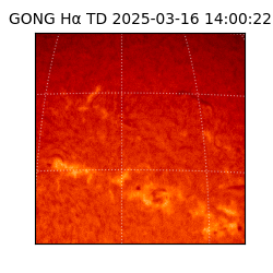 gong - 2025-03-16T14:00:22