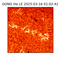 gong - 2025-03-16T01:02:42