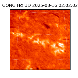gong - 2025-03-16T02:02:02