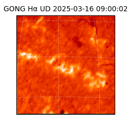 gong - 2025-03-16T09:00:02