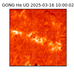 gong - 2025-03-16T10:00:02