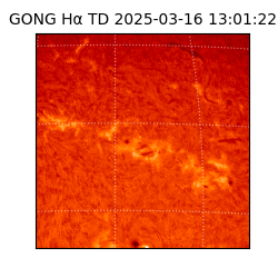 gong - 2025-03-16T13:01:22