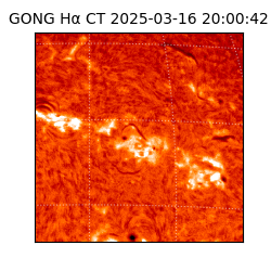 gong - 2025-03-16T20:00:42