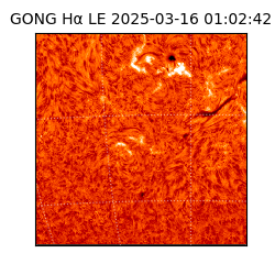 gong - 2025-03-16T01:02:42