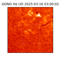 gong - 2025-03-16T03:00:02