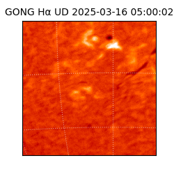 gong - 2025-03-16T05:00:02