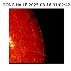gong - 2025-03-16T01:02:42