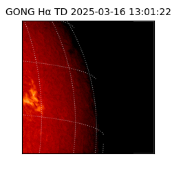 gong - 2025-03-16T13:01:22
