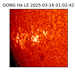 gong - 2025-03-16T01:02:42