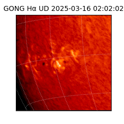 gong - 2025-03-16T02:02:02