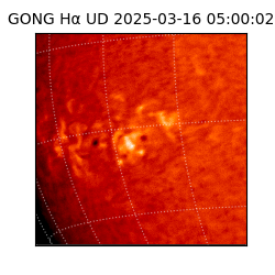 gong - 2025-03-16T05:00:02