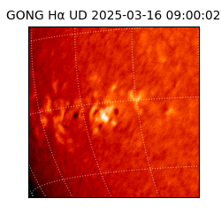 gong - 2025-03-16T09:00:02
