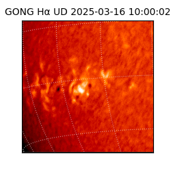 gong - 2025-03-16T10:00:02