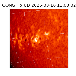 gong - 2025-03-16T11:00:02