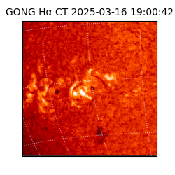 gong - 2025-03-16T19:00:42