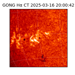 gong - 2025-03-16T20:00:42