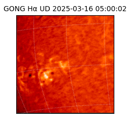 gong - 2025-03-16T05:00:02