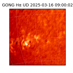 gong - 2025-03-16T09:00:02