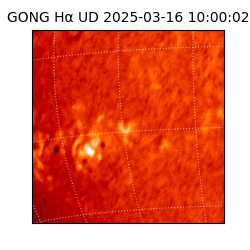 gong - 2025-03-16T10:00:02