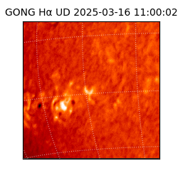 gong - 2025-03-16T11:00:02