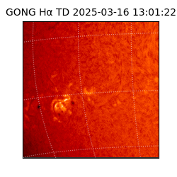 gong - 2025-03-16T13:01:22