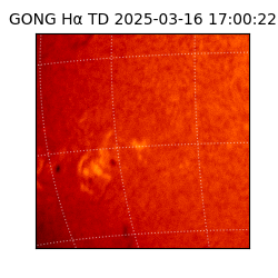 gong - 2025-03-16T17:00:22