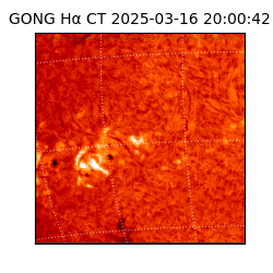 gong - 2025-03-16T20:00:42