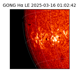 gong - 2025-03-16T01:02:42