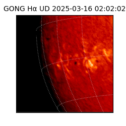 gong - 2025-03-16T02:02:02