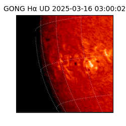 gong - 2025-03-16T03:00:02