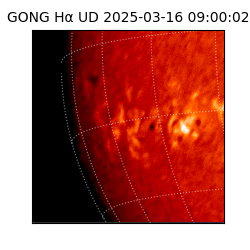 gong - 2025-03-16T09:00:02