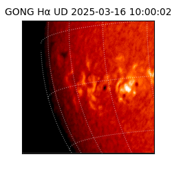 gong - 2025-03-16T10:00:02