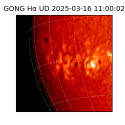 gong - 2025-03-16T11:00:02