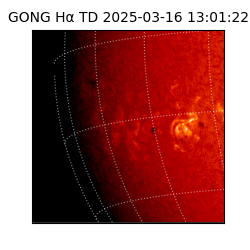 gong - 2025-03-16T13:01:22