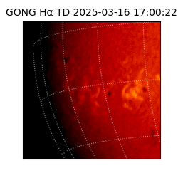 gong - 2025-03-16T17:00:22