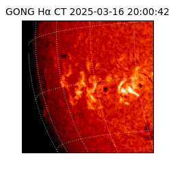 gong - 2025-03-16T20:00:42