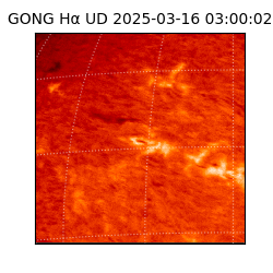 gong - 2025-03-16T03:00:02