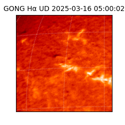 gong - 2025-03-16T05:00:02