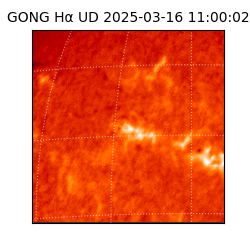 gong - 2025-03-16T11:00:02