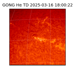 gong - 2025-03-16T18:00:22