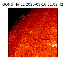 gong - 2025-03-16T01:02:42