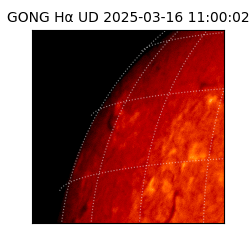 gong - 2025-03-16T11:00:02