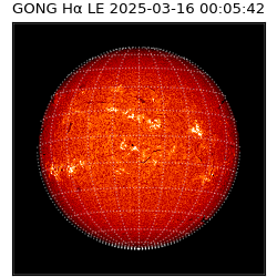 gong - 2025-03-16T00:05:42