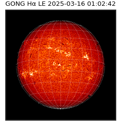 gong - 2025-03-16T01:02:42