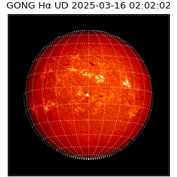 gong - 2025-03-16T02:02:02